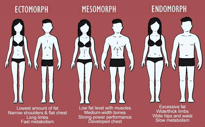 Random Body Types Just a few more questions to go... - True Star Wars Fans