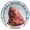 Wermal-star-wars-species