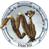 Yam'rii